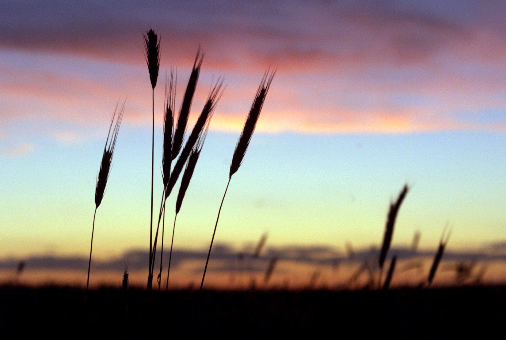 Best of Nebraska